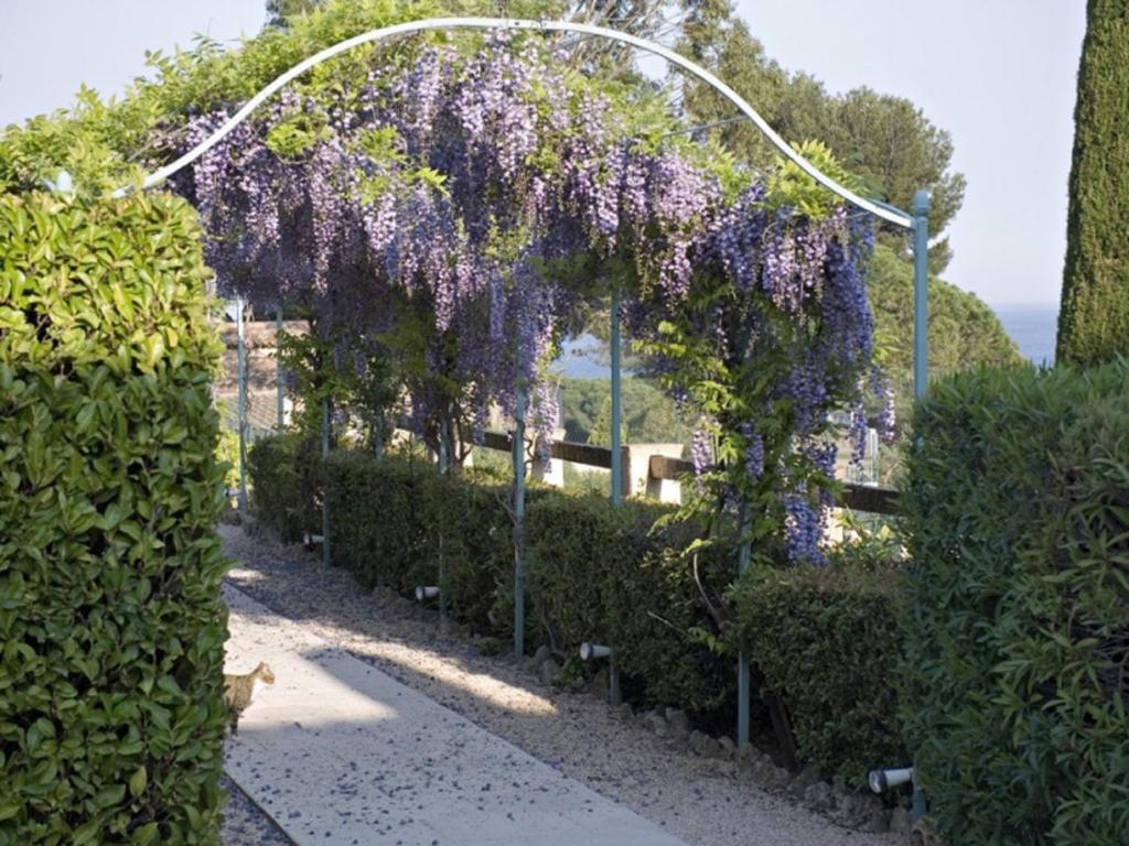 Le Mas Des Oliviers Sainte-Maxime Extérieur photo